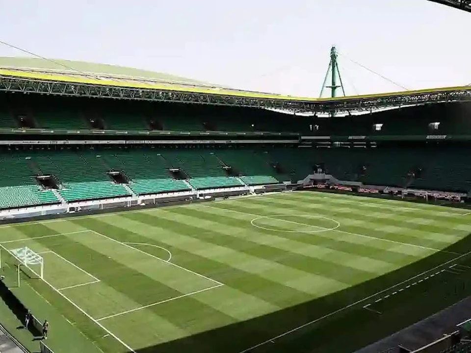 amp, 向所有会员, 的特别措施